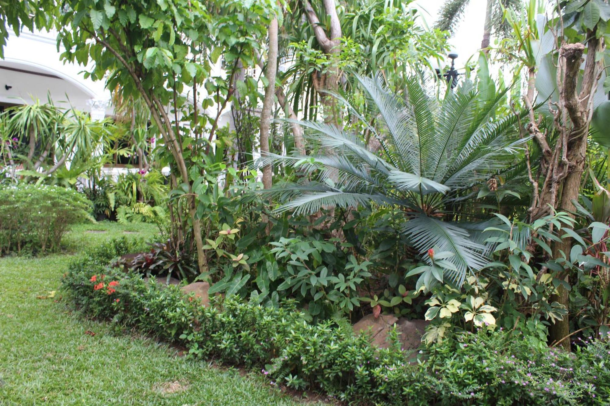 White Elephant Resort Surin Esterno foto