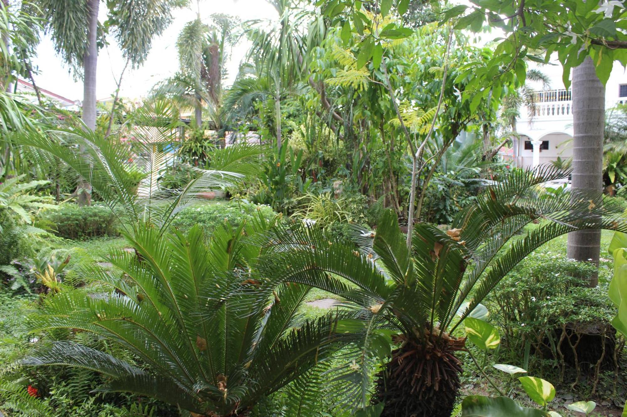 White Elephant Resort Surin Esterno foto