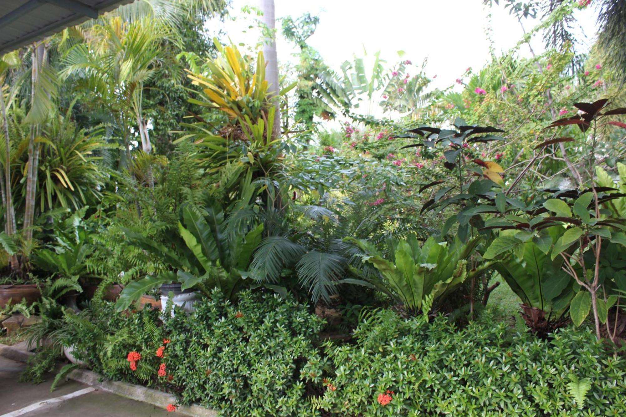 White Elephant Resort Surin Esterno foto