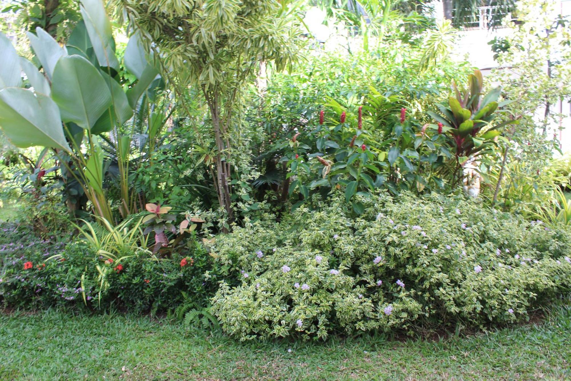 White Elephant Resort Surin Esterno foto