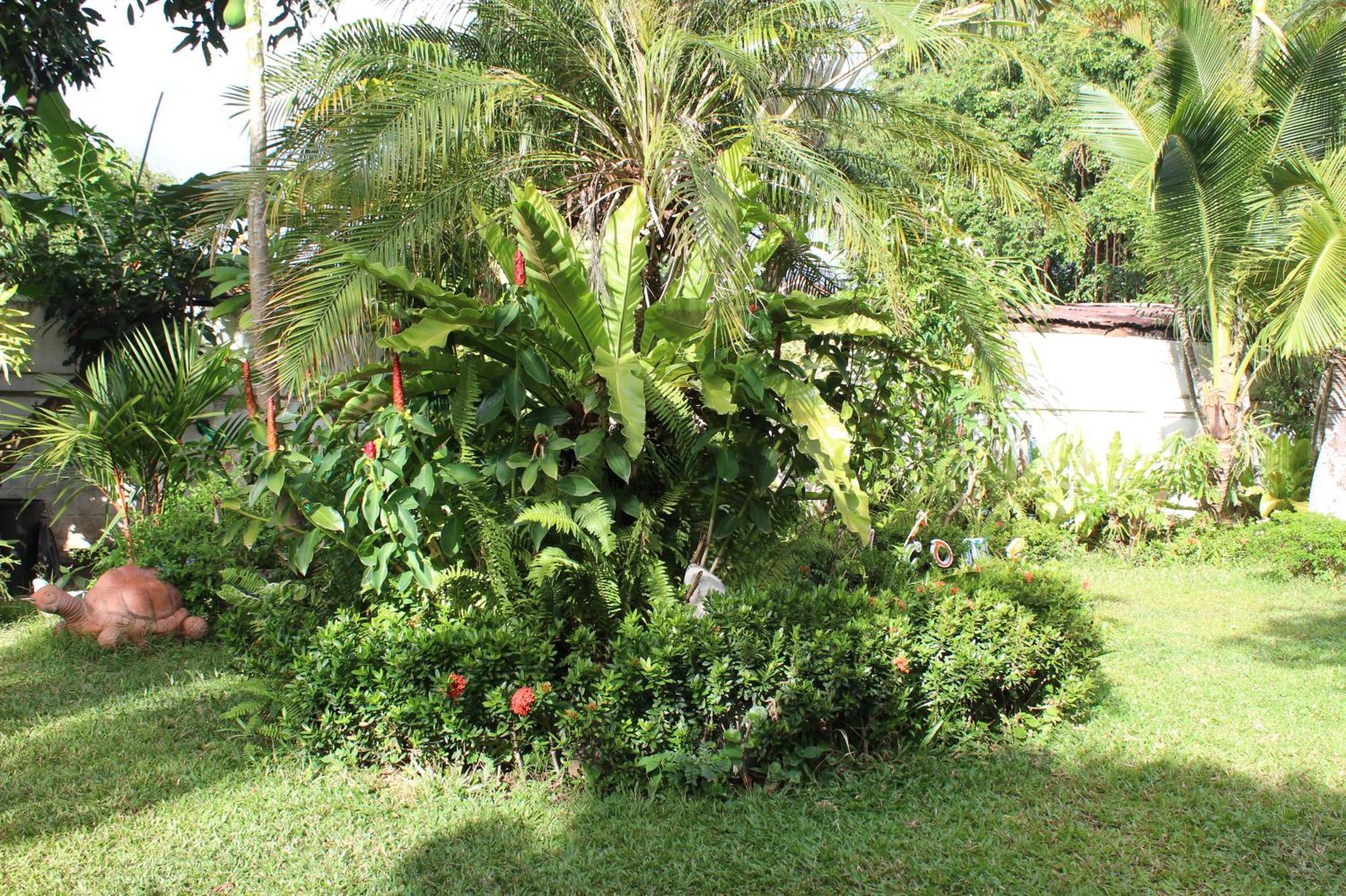 White Elephant Resort Surin Esterno foto