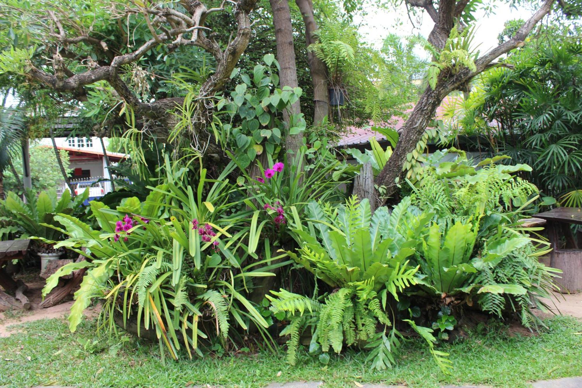 White Elephant Resort Surin Esterno foto