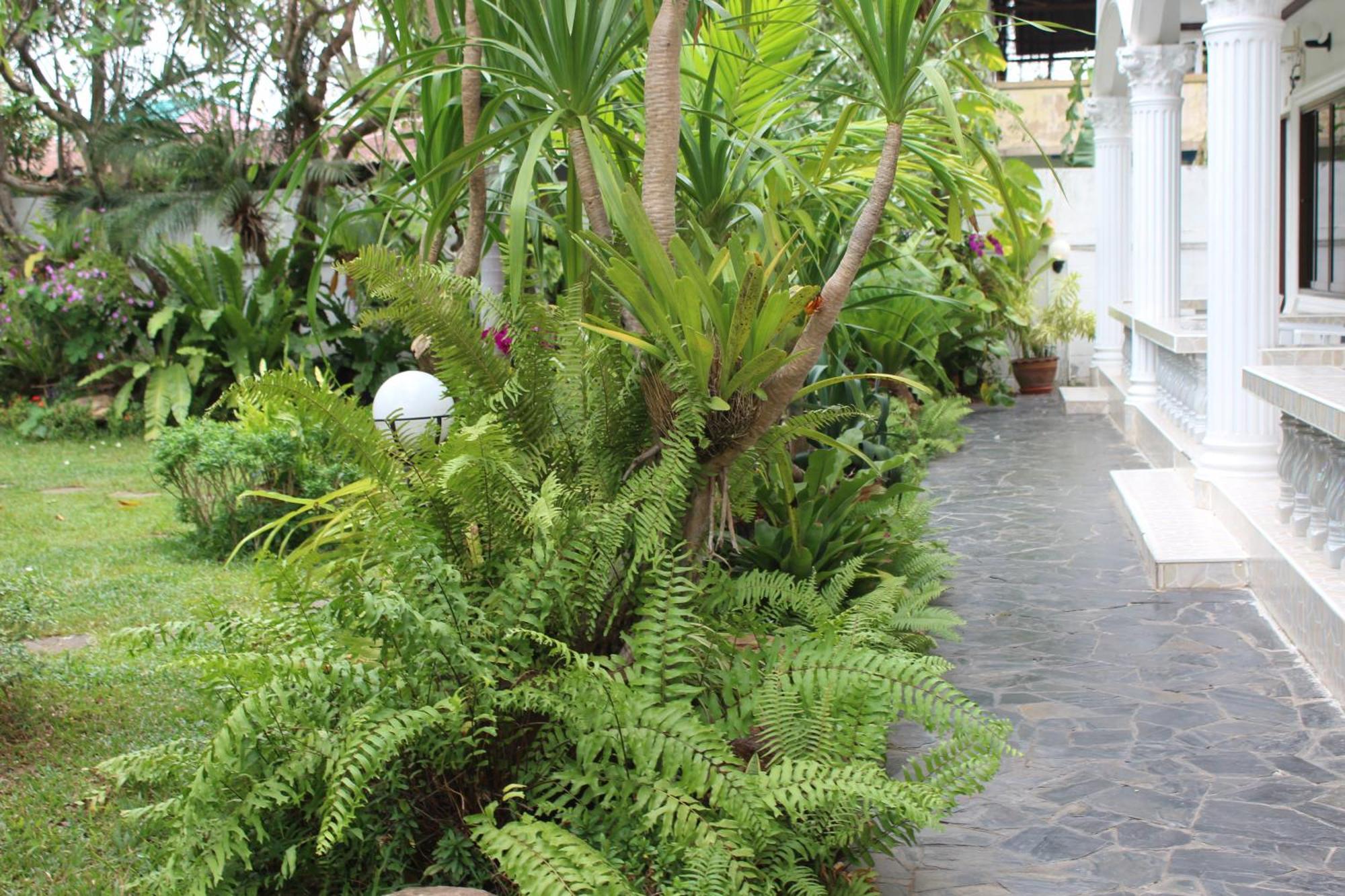 White Elephant Resort Surin Esterno foto