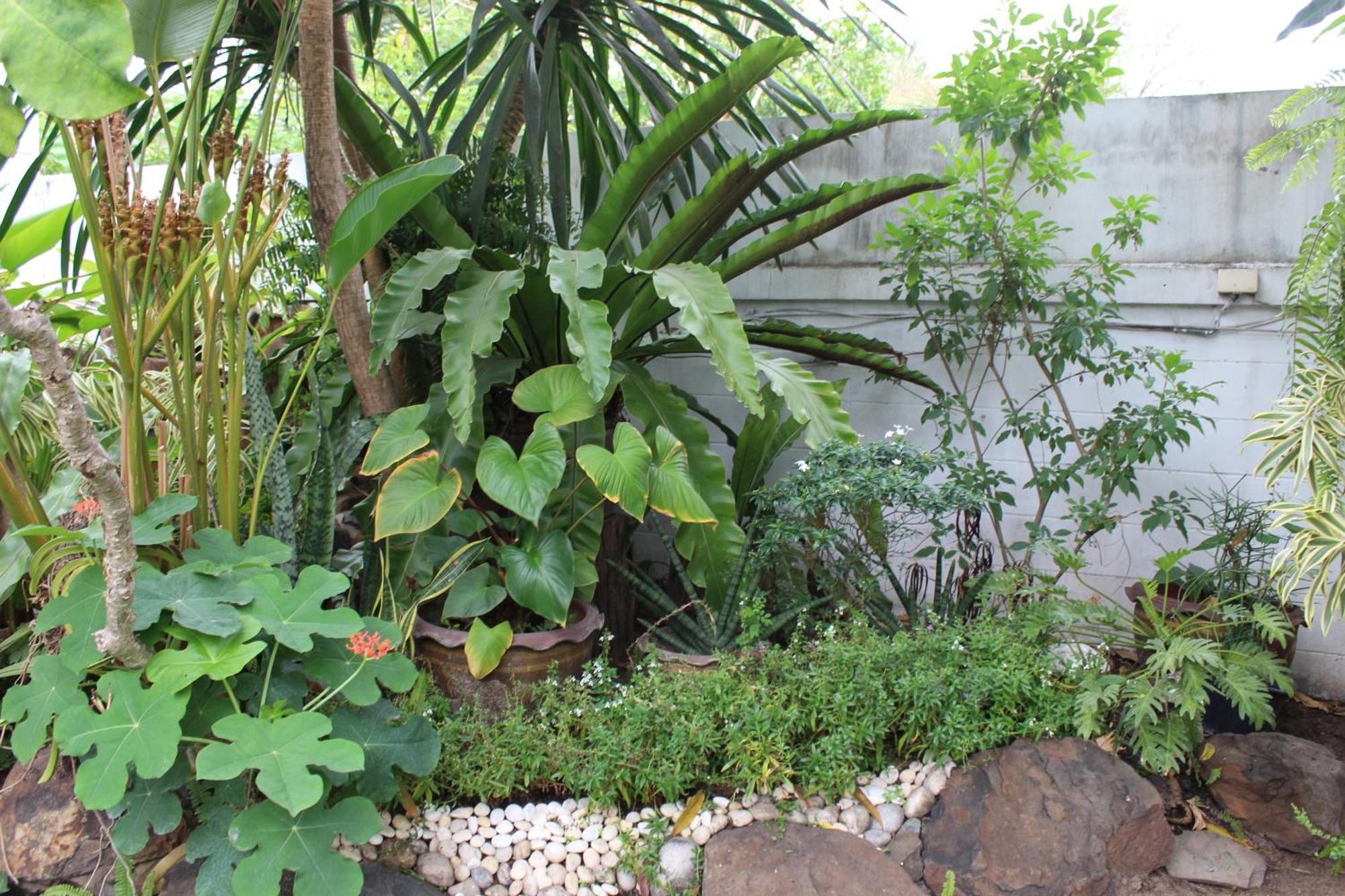 White Elephant Resort Surin Esterno foto