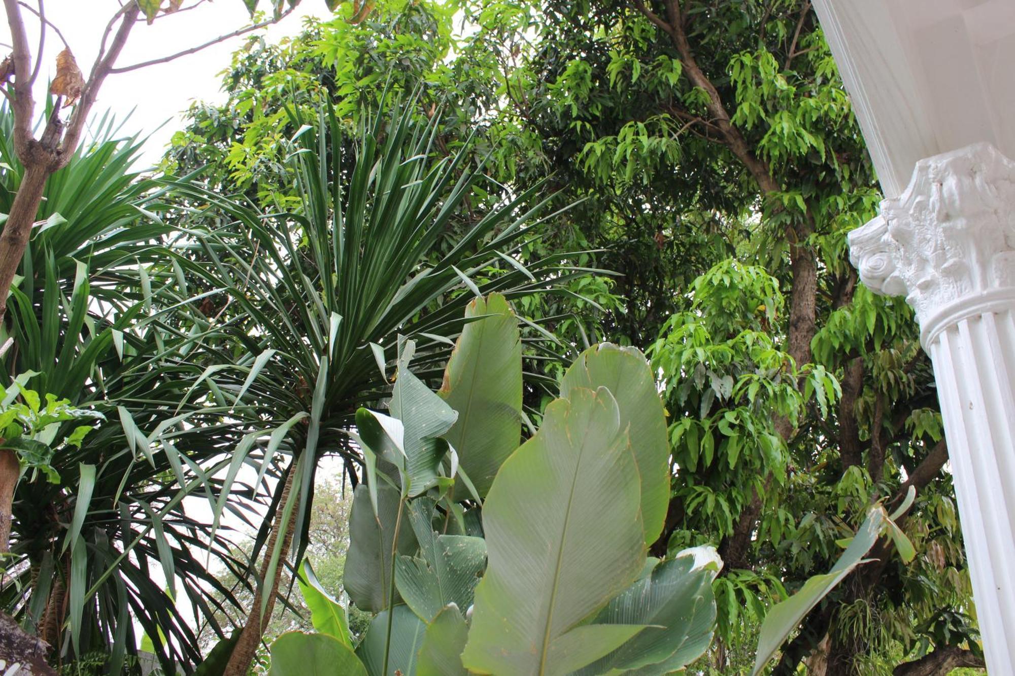 White Elephant Resort Surin Esterno foto